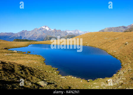 Les lacs bleus de campagneda encadrée par monte disgrazia, vallée de la zone val malenco, province de Sondrio, Valtellina, Lombardie, Italie, Europe Banque D'Images