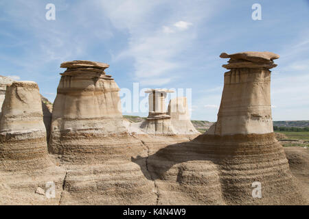 Les cheminées, des formations rocheuses formées par l'érosion de la bentonite, dans les badlands près de Drumheller en Alberta, au Canada, en Amérique du Nord Banque D'Images