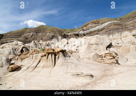 Les cheminées, des formations rocheuses formées par l'érosion de la bentonite dans les badlands près de Drumheller en Alberta, au Canada, en Amérique du Nord Banque D'Images