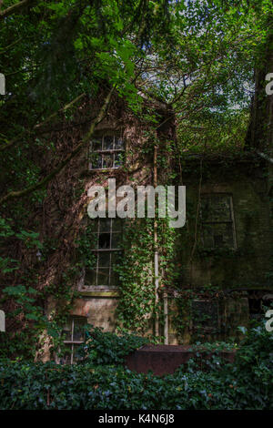 Le presbytère fut un foyer de soins pour les personnes âgées au sein de rampton, cambridgeshire. Il a fermé il y a plusieurs années et est devenu depuis l'abandon. Banque D'Images