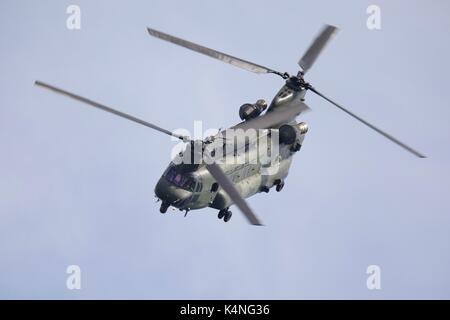 Boeing Chinook HC4 du 27 e Escadron de la RAF Odiham démontrant son impressionnante à Bournemouth manœuvres aériennes Air Festival Banque D'Images