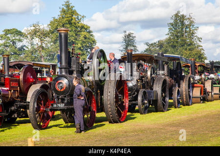 Moteur de traction à vapeur d'époque et à vapeur rassemblement au parc Astle Chelford dans Cheshire Banque D'Images