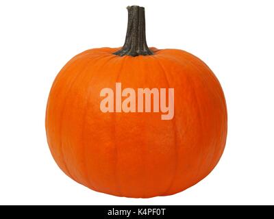 Petite citrouille isolée sur fond blanc Banque D'Images