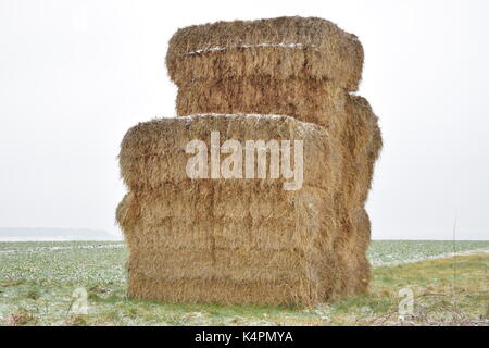 Paysage verdoyant avec hay Banque D'Images