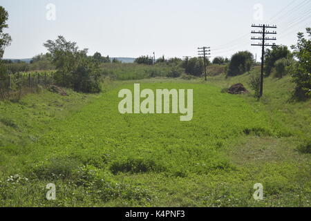 Paysage verdoyant avec hay Banque D'Images