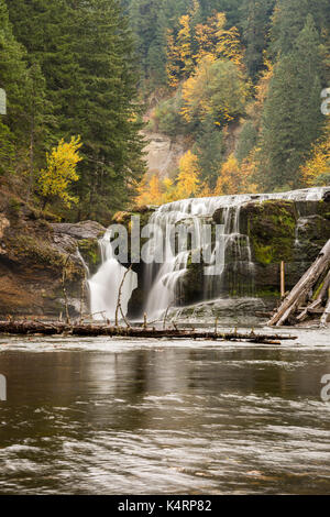 Lewis inférieur, situé dans la forêt nationale de Gifford Pinchot, Washington State, USA Banque D'Images