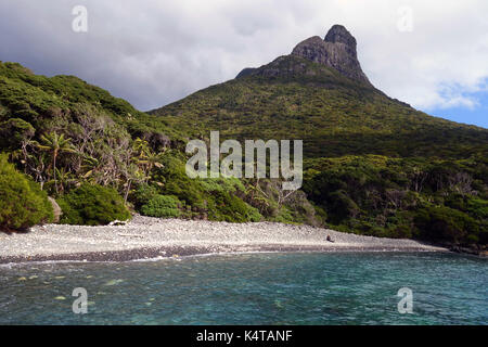 Boat Harbour Beach mt Lidgbird ci-dessous, l'île Lord Howe, NSW, Australie. Pas de monsieur Banque D'Images