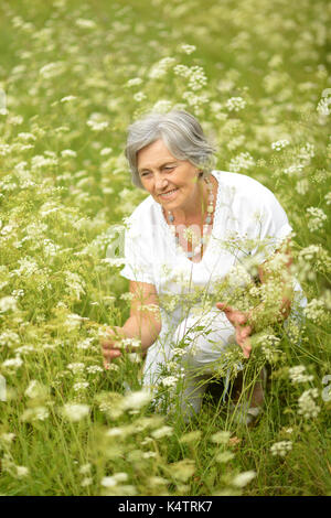 Senior woman dans le champ de fleurs sauvages Banque D'Images