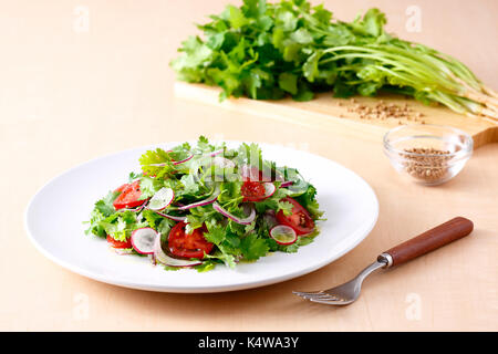 Salade de coriandre Banque D'Images