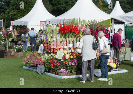 Wisley RHS Flower Show 2017. RHS Wisley Gardens, Surrey, UK Banque D'Images
