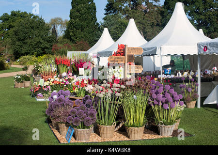 Wisley RHS Flower Show 2017. RHS Wisley Gardens, Surrey, UK Banque D'Images