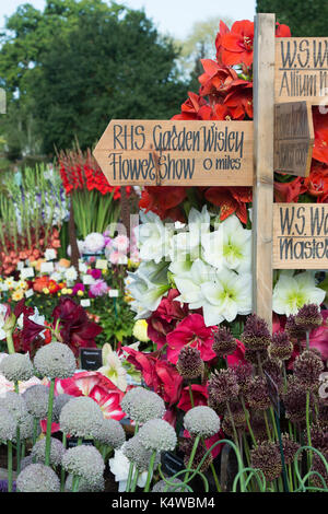 Wisley RHS Flower show 2017 signer et de fleurs. RHS Wisley Gardens, Surrey, UK Banque D'Images