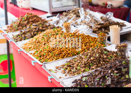 Bug d'affaires vente d'insectes frits asiatiques Snack food, à haute valeur protéique de la nature. Banque D'Images