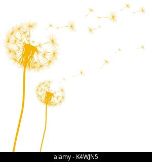 Silhouette d'un pissenlit sur fond blanc Illustration de Vecteur