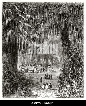 Groupe de personnes ayant peu de bon temps entre deux énormes cyprès dans une magnifique forêt. Bois de cyprès chauve Montezuma à Chapultepec Mexique. Par Riou publié sur le Tour du Monde Paris 1862 Banque D'Images