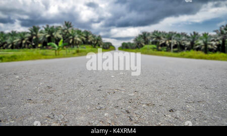 Une route de la Bornéo Banque D'Images