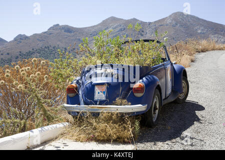 Ancien Bleu VW Coccinelle avec plantes sauvages poussant dans elle, Tilos, Grèce Banque D'Images