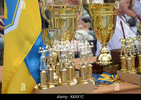 La journée de célébration reportage rédactionnel Volyn Lutsk Ukraine Ville Région, 25.08.17. Banque D'Images
