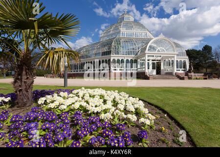 Le fer et verre magnifique palm house, Sefton Park, Liverpool, construit 1896 par Mackenzie et moncur, Glasgow, et doué par Henry yates Thompson. Banque D'Images