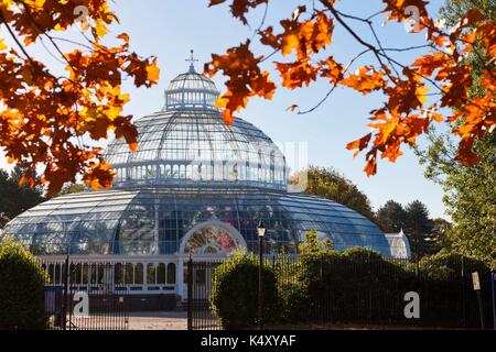 Le fer et verre magnifique palm house, Sefton Park, Liverpool, construit 1896 par Mackenzie et moncur, Glasgow, et doué par Henry yates Thompson. Banque D'Images