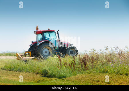 Aiguillon-sur-Mer, France, France - Juillet 06, 2016 : rouge tracteur équipé d'une grande Faucheuse, coupe l'herbe dans un pré Banque D'Images