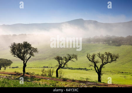 Parc naturel d'Arrabida dans un matin brumeux. Portugal Banque D'Images