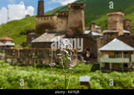 Vue d'anciennes forteresses svan svan tower dans village ushguli svaneti, Géorgie. Banque D'Images