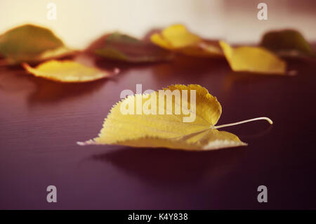 L'automne les feuilles tombées sur une table en bois foncé. image teintée. Vue de dessus, copiez l'espace. Banque D'Images