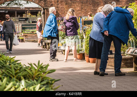 Fleurs dans le garden centre ray boswell Banque D'Images