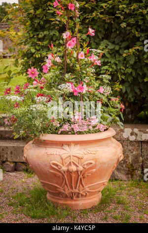 Image de vintage pot de fleurs dans le jardin. Banque D'Images