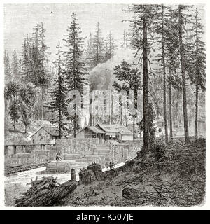 Scierie dans la forêt californienne, planches de bois empilées, cheminée fumante parmi les conifères, ouvriers visibles, orientation carrée, Paris, 1862 Banque D'Images