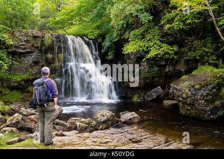 Walker bénéficiant le Spectacle de Cascade, Gill est Keld, Swaledale, vallées du Yorkshire, UK Banque D'Images