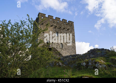 Château de Dolwyddelan construit au 13ème siècle par Llywelyn le Grand Prince de Gwynedd et le Nord du Pays de Galles aujourd'hui conservé par Cadw Banque D'Images