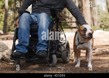 Homme handicapé dans un fauteuil roulant avec son fidèle chien Banque D'Images