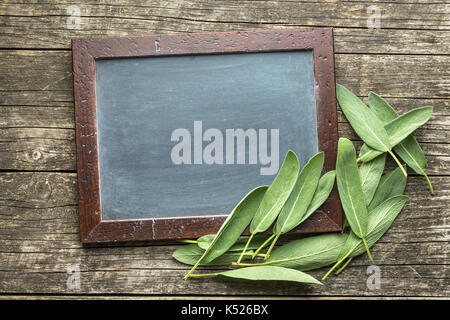 Tableau noir et feuilles de sauge. vue d'en haut. Banque D'Images