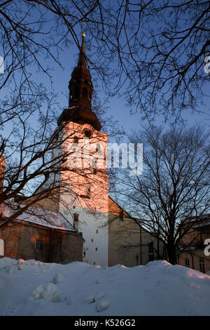 Toomkirik (alias cathédrale Sainte-Marie) de Piiskopi AED (jardin de l'évêque), Toompea (colline de la cathédrale), Tallinn, Estonie, lors d'une soirée d'hiver Banque D'Images