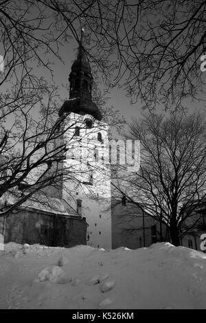 Toomkirik (alias cathédrale Sainte-Marie) de Piiskopi AED (jardin de l'évêque), Toompea (colline de la cathédrale), Tallinn, Estonie, le soir : noir et blanc Banque D'Images