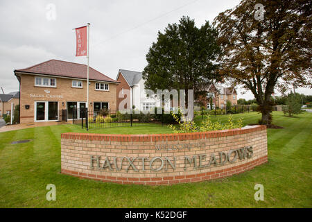 Redrow développement domiciliaire de Newton,Cambridge Le 5 septembre.La société a annoncé aujourd'hui un ensemble d'enregistrement des résultats. Housebuilder Redrow a présenté un ensemble d'enregistrement des résultats, malgré la crainte d'un ralentissement du marché du logement et de la volatilité de l'environnement politique et économique. L'entreprise a vu augmenter les revenus de 20 % à EUR 1,66 milliards de dollars au cours de l'année au 30 juin, tandis que le résultat avant impôt a augmenté de 26 % à €315 millions. Banque D'Images