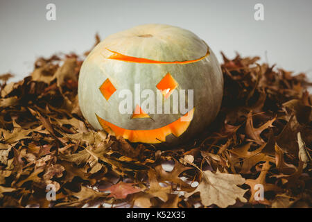 High angle view of illuminated jack o lanterne avec feuilles d'automne sur fond blanc Banque D'Images