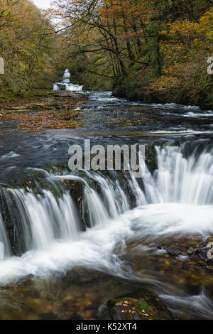 River Mellte petite cascade avec la couleur en automne les arbres sur les bords de la rivière, Brecon Beacons, Galles, Royaume-Uni Banque D'Images