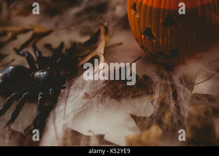 Portrait de verre dans jack o lantern contenant avec des décorations sur fond blanc Banque D'Images