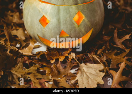 High angle view of illuminated jack o lanterne avec les feuilles d'automne Banque D'Images
