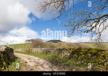 Une vieille route conduisait près de Horton dans ribblesdale, dans le Yorkshire, Angleterre - menant du village passé brants gill tête vers pen-y-ghent Banque D'Images