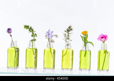 Bouteille d'huile essentielle avec des herbes h mint créé sur fond blanc . Banque D'Images