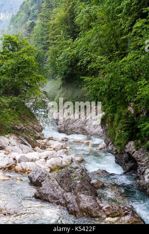 Rivière kokra dans les contreforts des Alpes de kamnik savinja. Banque D'Images