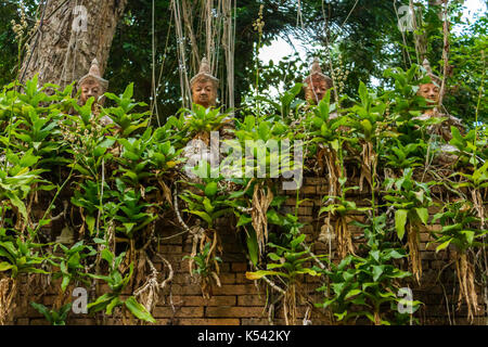 Chiang Mai, Thaïlande - 14/05/2015 : un groupe de statues de Bouddha au sommet d'un mur à la jungle, temple Wat pha lat. Banque D'Images