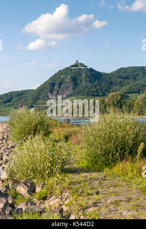 Drachenfels et le Rhin de grafenwerth, Bad Honnef, NRW, Allemagne. Banque D'Images