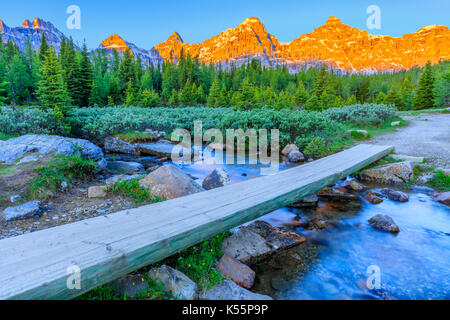 Sentier de la vallée de mélèze dans le parc national de Banff Banque D'Images