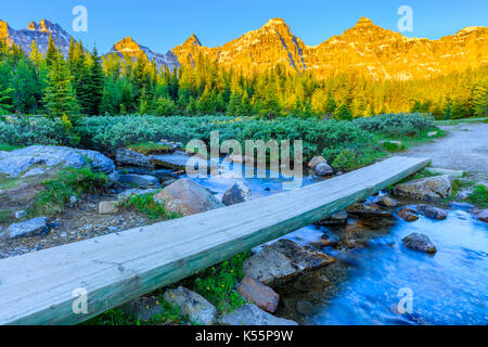 Sentier de la vallée de mélèze dans le parc national de Banff Banque D'Images