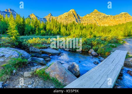 Sentier de la vallée de mélèze dans le parc national de Banff Banque D'Images